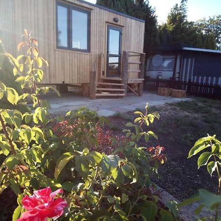 Tiny House Calido Villa Apelern Eksteriør billede
